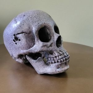 Halloween Skull Head Silver/Black Decor